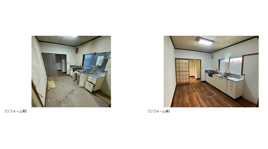 20260826ヤモリ坂元(写真).jpg