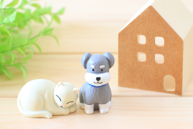 リノベる 「猫」をテーマに展示イベント