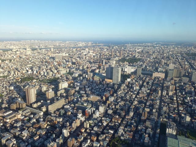 レインズ 首都圏中古成約(7~9月) マンション5期ぶり減少 戸建て住宅は全域で増加