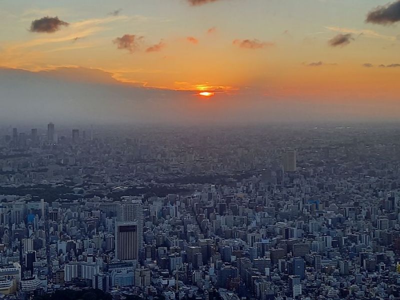東京に徐々に人流が戻りつつある