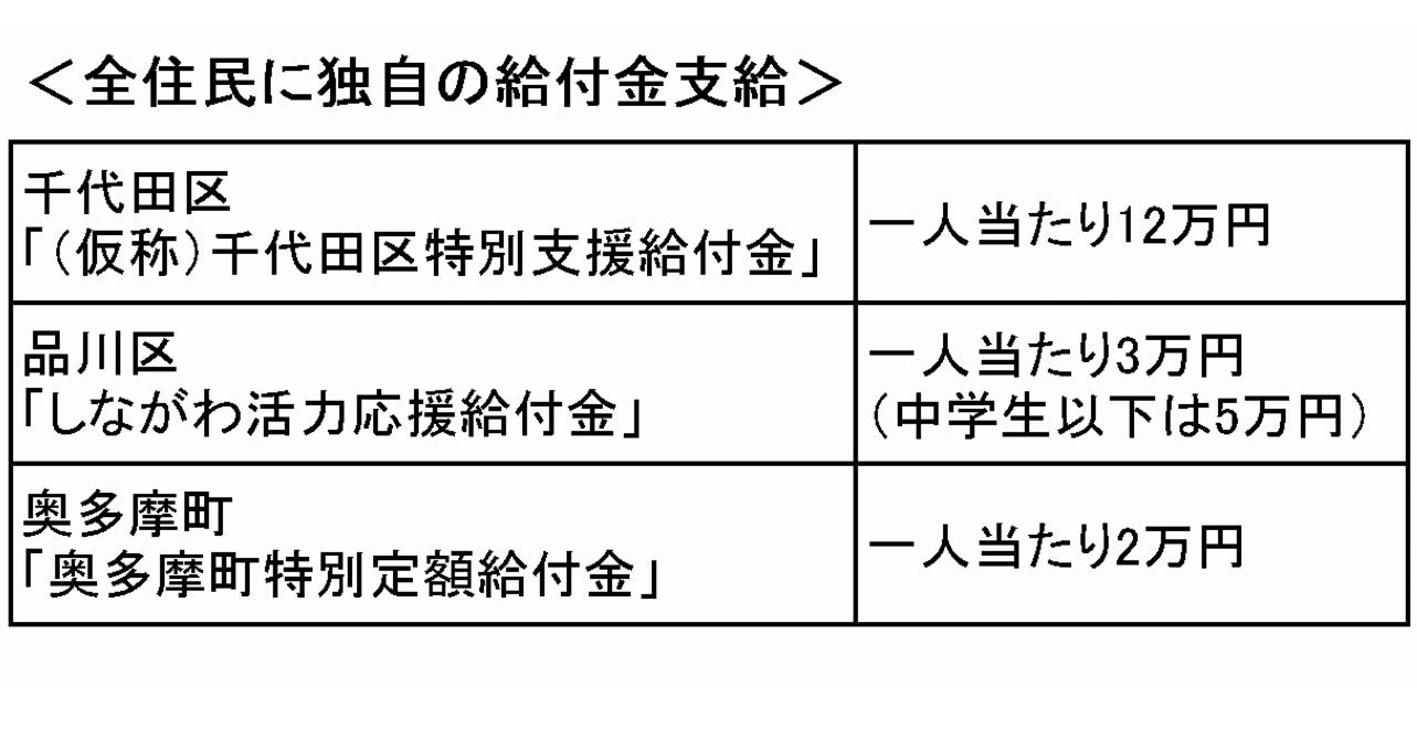 全住民への独自の給付金制度