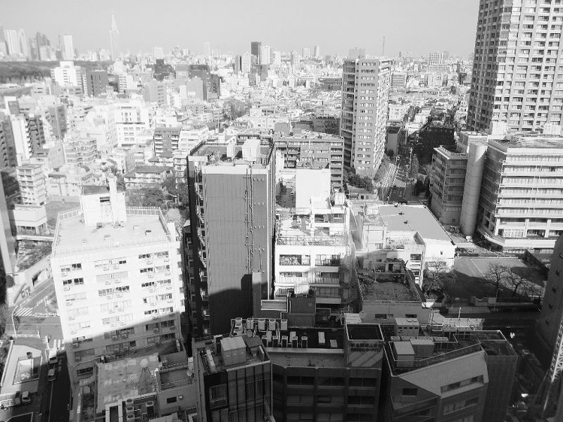 13年度税制改正の焦点は消費税増税と相続税増税への対応。業界と密接に関係するだけでなく、住宅需要者や中間所得層を直撃する身近で大きな問題だ(都内で。写真はイメージ)