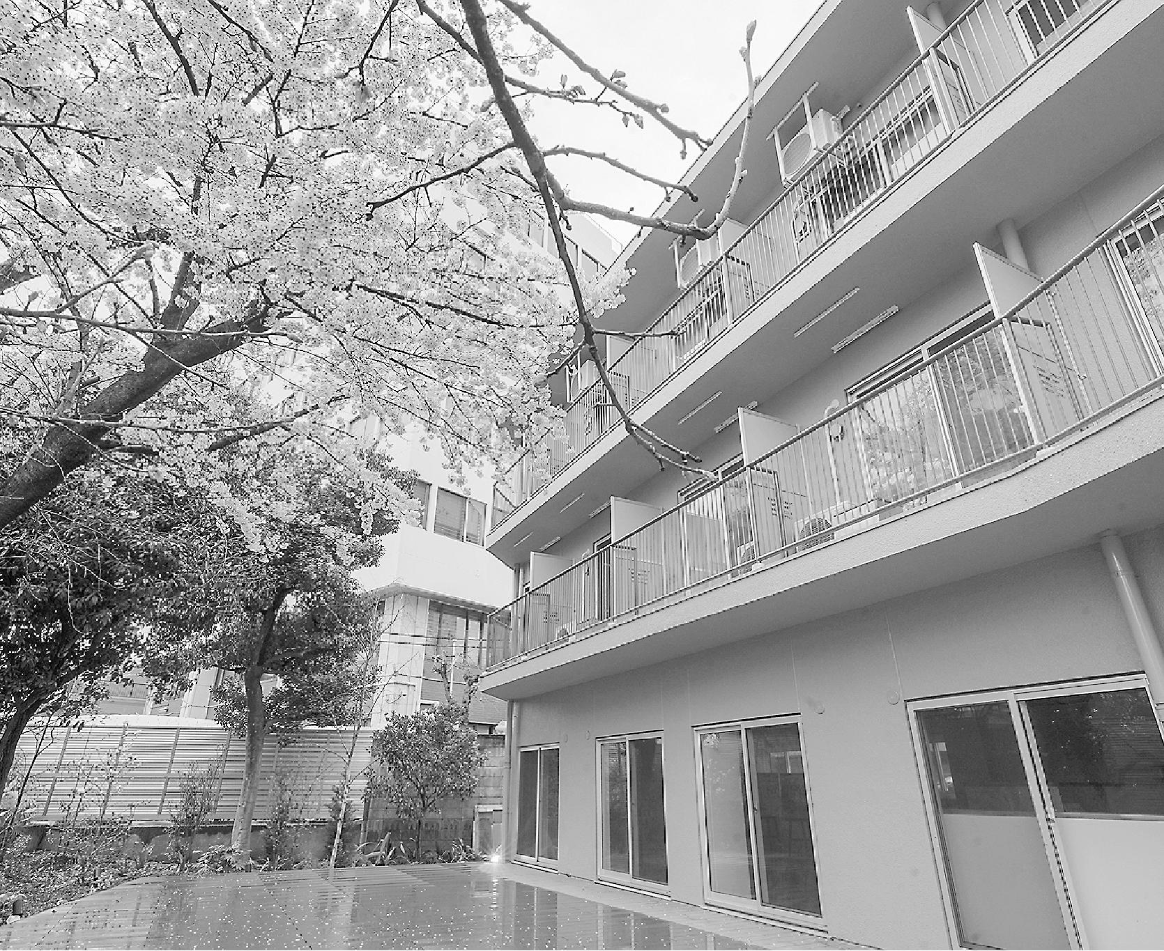 〝どこにもないふつう〟 人気の複合型レジデンス 1週間で全29戸満室に グッドルーム「TOMOS学芸大学」