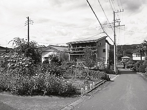 休日には広い庭で野菜づくりを楽しむ(写真と本文は関係ありません)