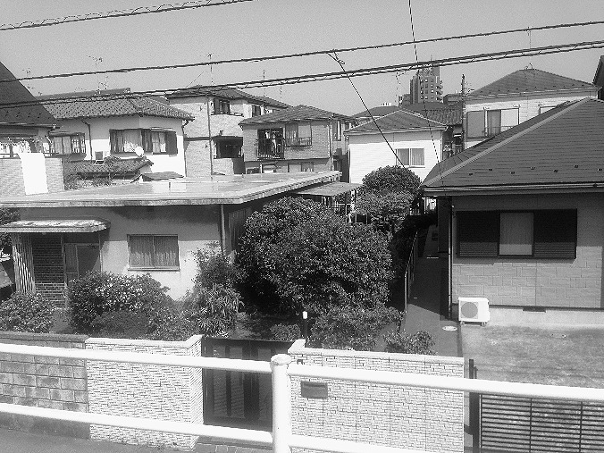 1つの敷地に建つように見える、緑に囲まれた2つの住宅
