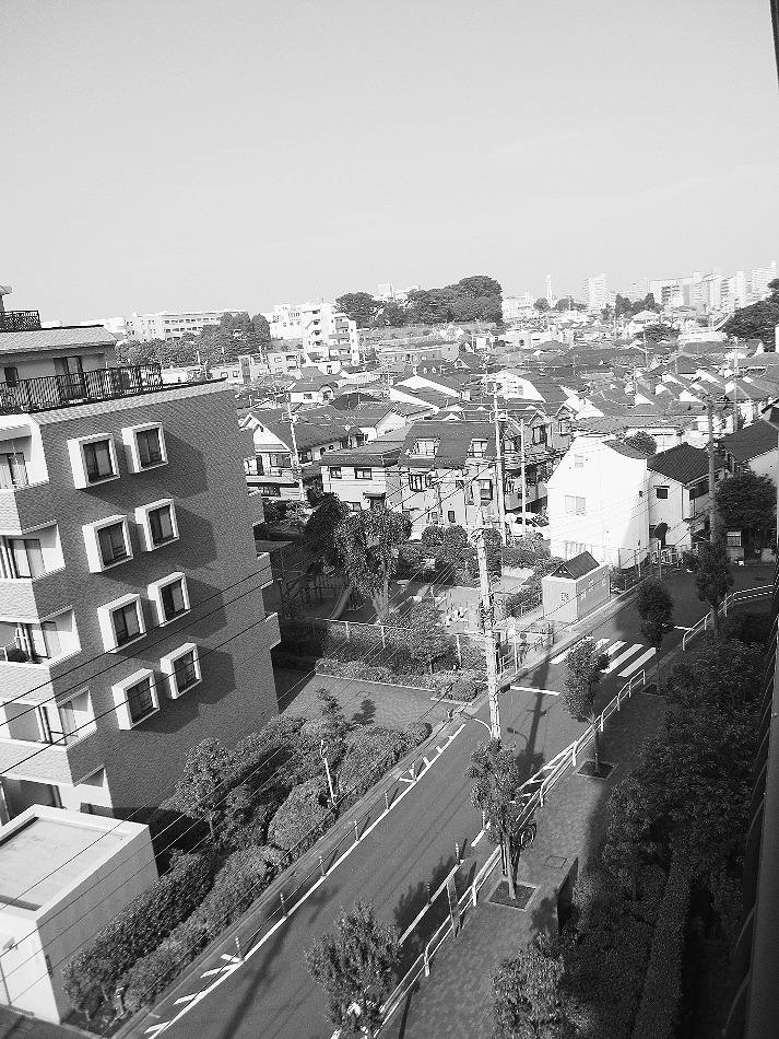 消費税増税法案が衆議院を通過、参議院の審議が注目される。住宅取得に関してはその税額の大きさと住宅・不動産業に与える打撃の大きさから「負担軽減措置」を求める声が強まっている(都内で)