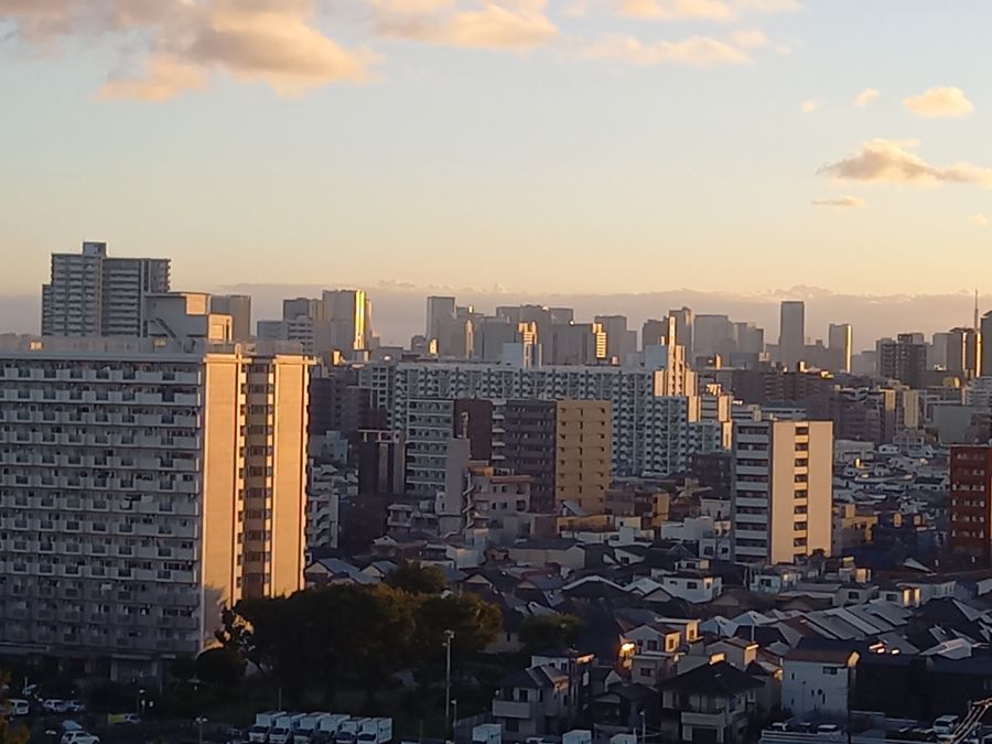 分譲賃料 都心回帰が鮮明に 〝東京23区は最高値超え〟