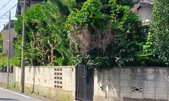 昨今は2軒続きの空き家も珍しくなくなった。大相続時代を映す光景か