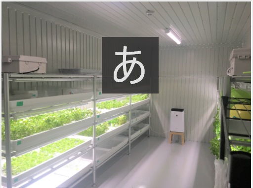 障がい者が就業する屋内型農園