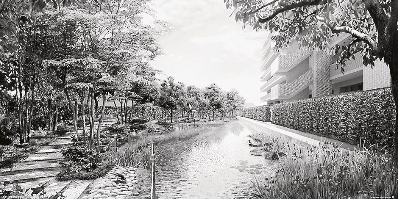 井戸からくみ上げた水を還流させている「ふれあいの池」――動力は太陽光発電
