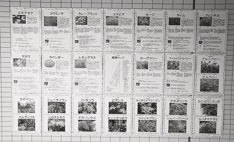 ハーブの種類と利用方法などを掲載
