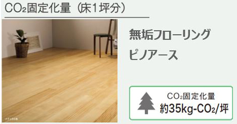 CO2固定化量の掲載例