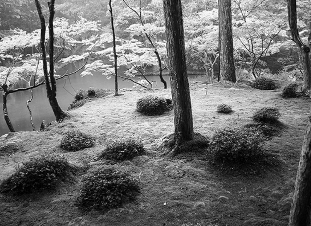 苔寺(夢窓疎石)