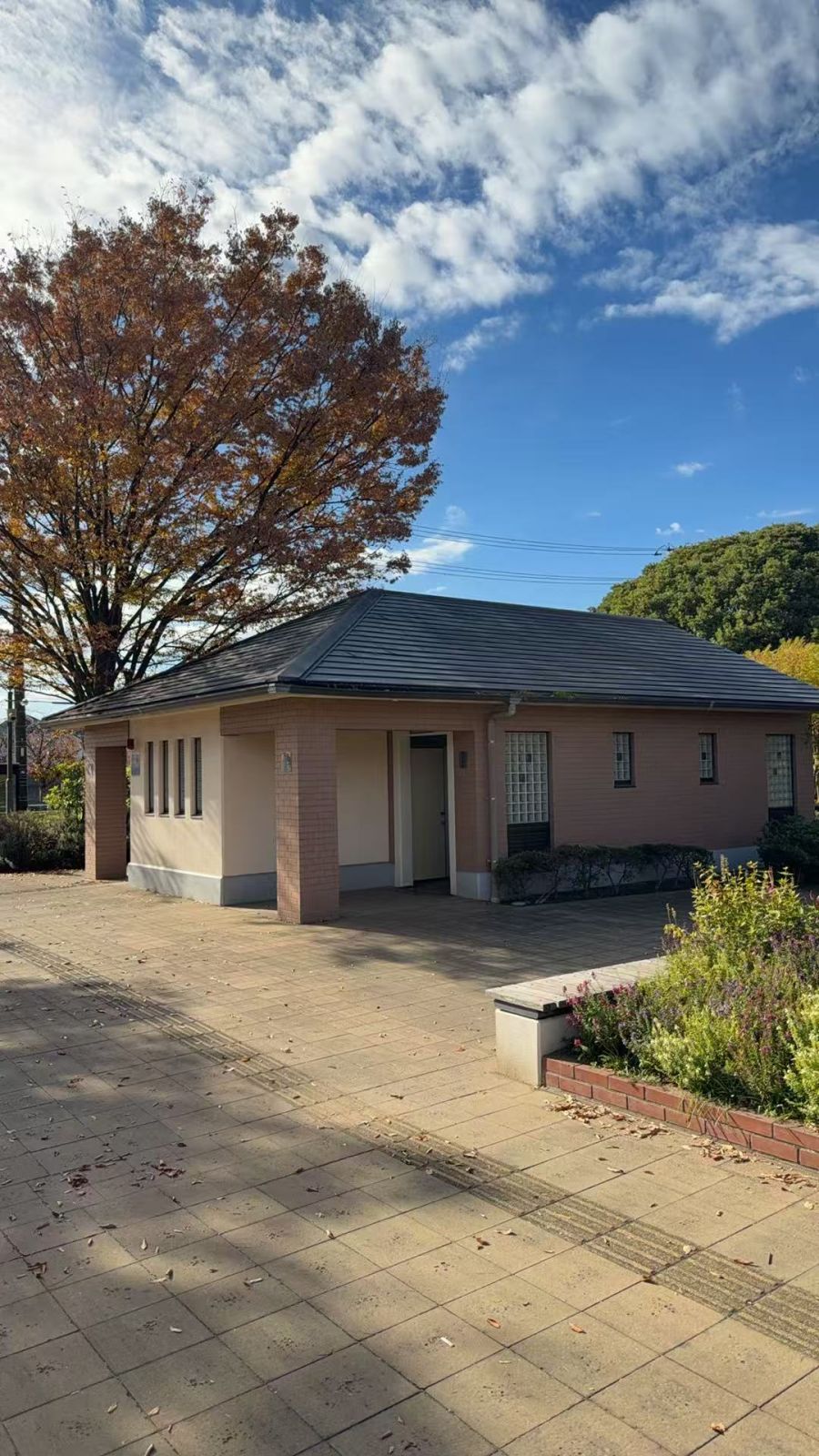 浦安市内の弁天ふれあいの森公園 。バリアフリー対応のトイレがあり高齢者も安心して利用できる