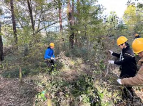 長谷工G、清瀬松山緑地の保全活動を実施