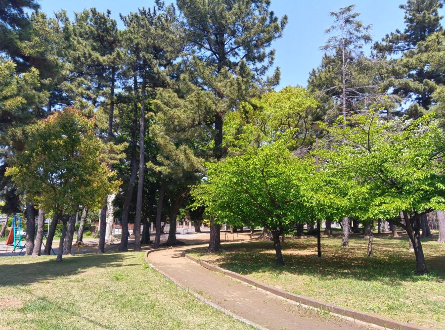 筆者の家の近くにある公園。今の季節は新緑が美しく、子供を遊ばせながら散策を楽しむことができる