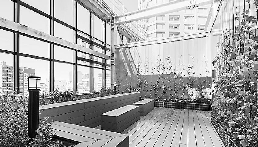 中規模ビルでは珍しい「屋上庭園」。働く人がリフレッシュする場としてベンチや植栽を配置