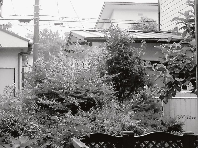高齢社会では、自宅売却後にリースバックをして賃貸で居住し続ける取引が増えるのか