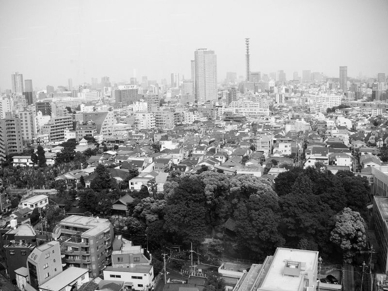 諸外国と比べても日本の高齢化は急速に進展している
