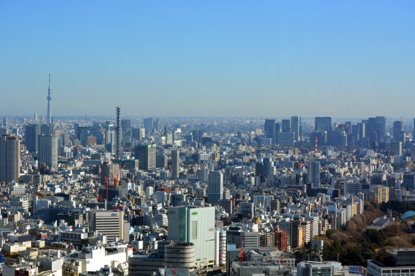 業界団体の「16年税制改正要望」が大詰めを迎えている。〝内需の柱〟を活性化させるためにも手厚い内容が期待されている
