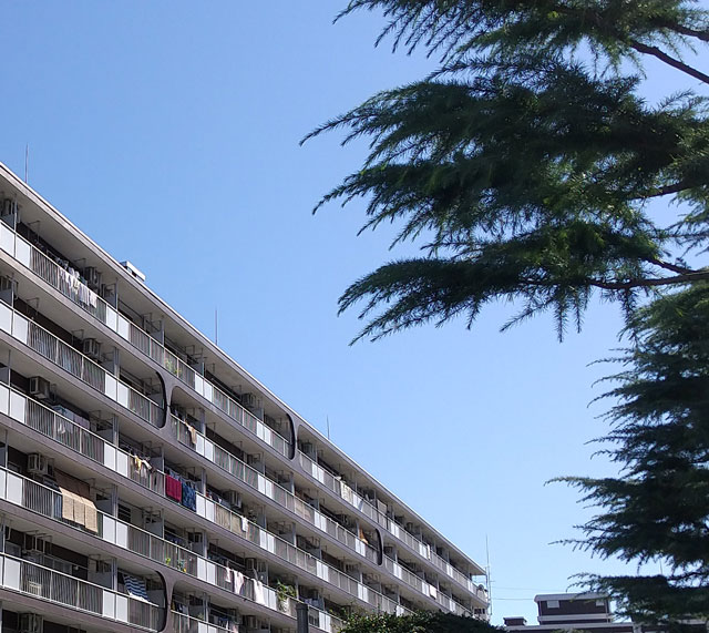 区分所有者にとってマンションの〝終活〟は大きな課題