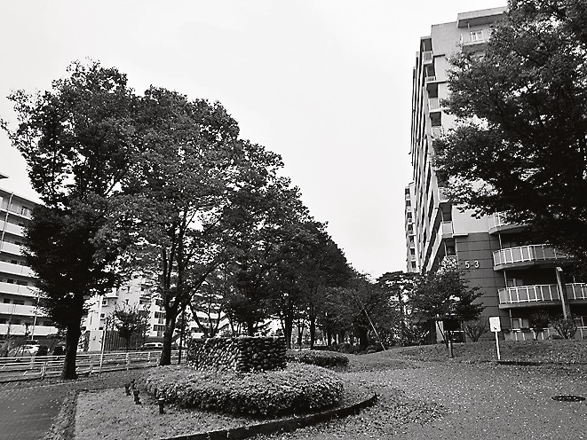 新たな街づくりがスタートした「ひばりが丘団地」