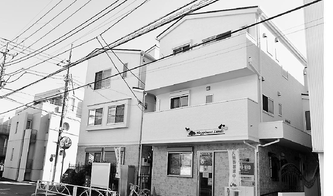 戸建て住宅街になじむ外観