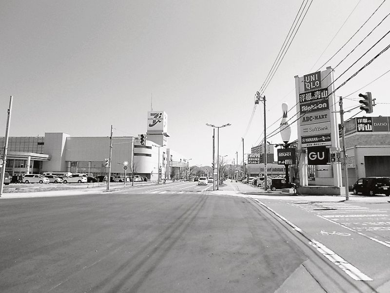 イトーヨーカドー青森店(左)とドリームタウンアリー(浜田地区)