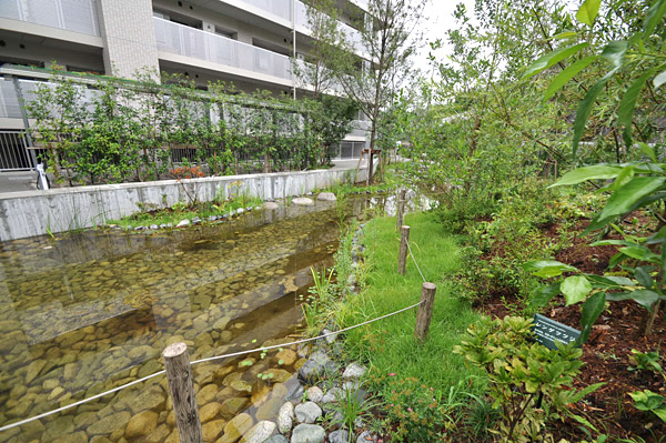 敷地内に設けたビオトープ。水生植物のほか様々な生き物が生息する。井戸水を利用していることも特徴。水辺がクールスポットとなり対流による自然風の発生効果もある
