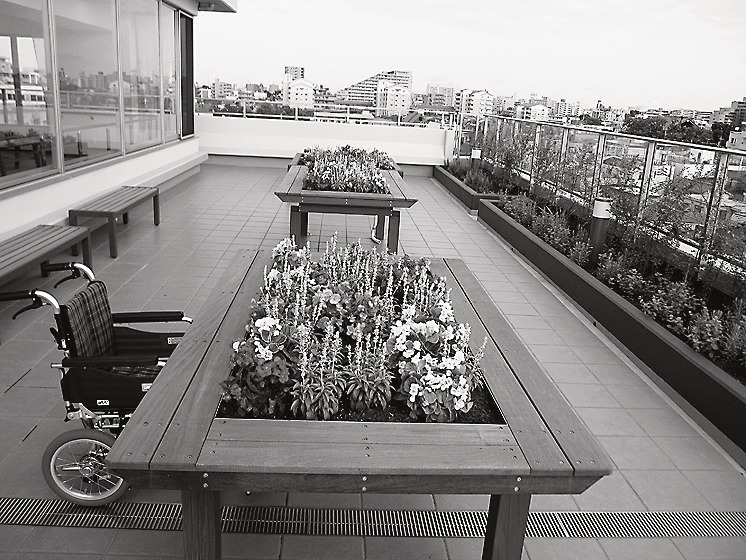 屋上庭園