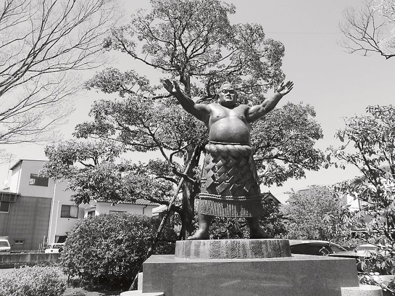 琴櫻像