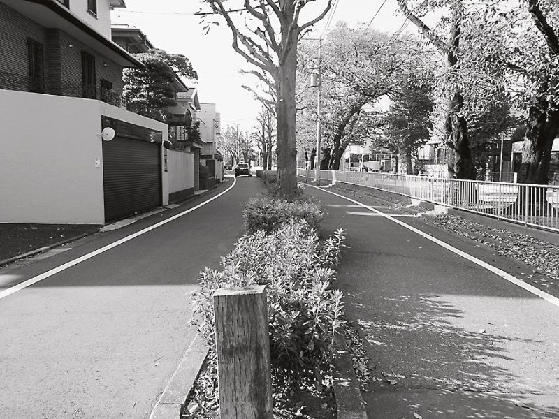 曲線状のプロムナードのある常盤台の街並み