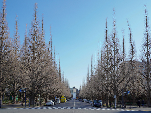 東京・北青山で土地取得、商業店舗ビル開発へ TRIAD
