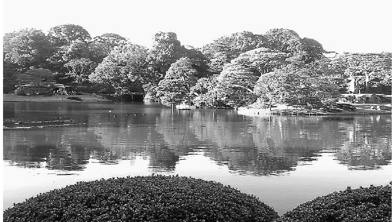 美しい日本庭園も、見る人によって心象は異なる。結局個々の人間が見ているものは〝自分〟というフィルターを通した光景でしかない。その事実に悩むより、自分の価値観のもと、人間関係をデザインする楽しみこそ発見すべきである