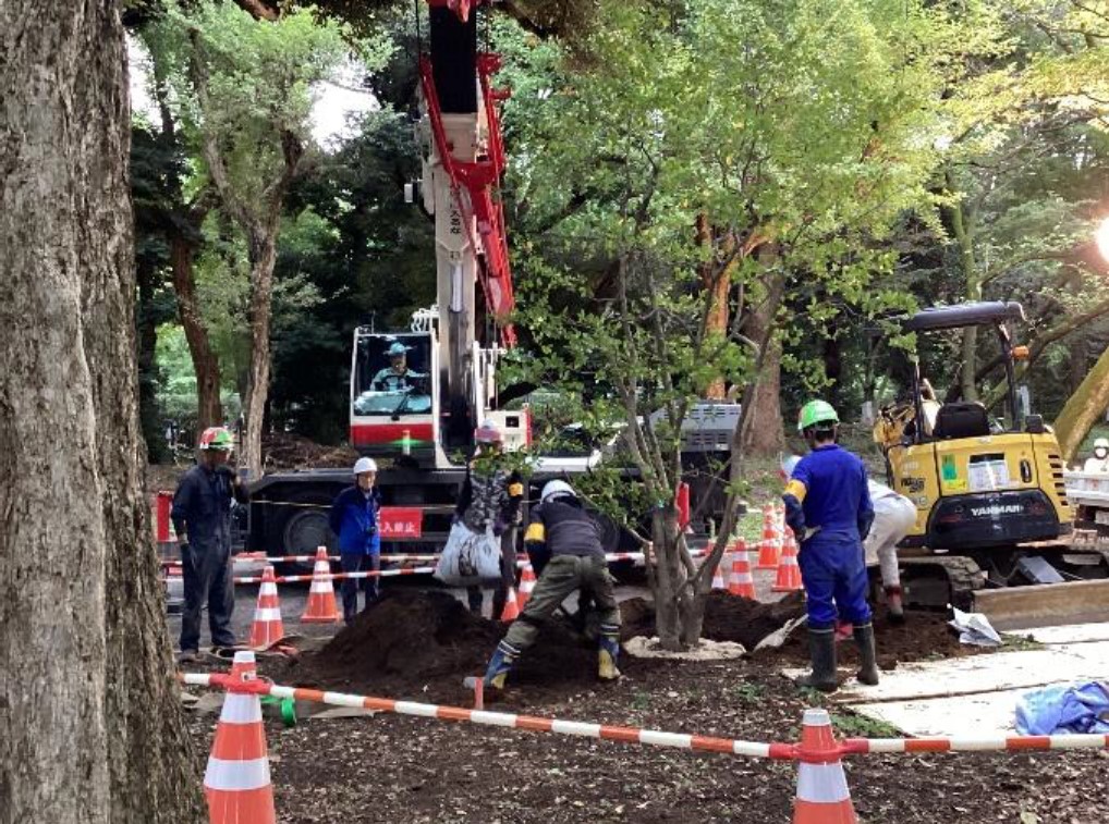明治神宮第2球場の解体工事 樹木の移植伐採に着手 三井不など4事業者