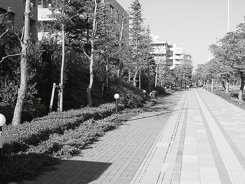 散歩がしたくなる緑道がもっと必要だ
