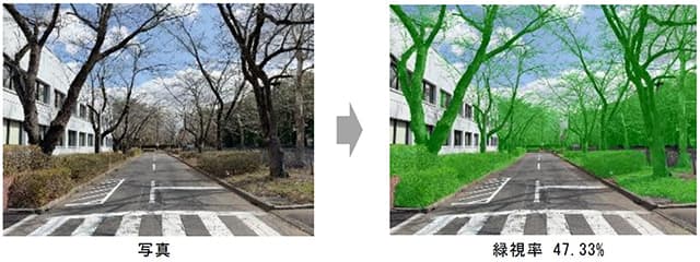 「緑視率」AI調査ツールを改良、緑ある街づくりを支援 国総研