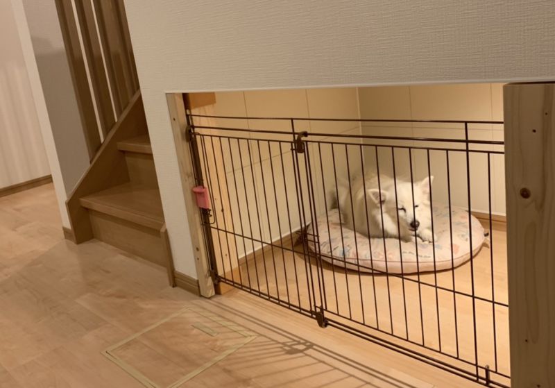 ヒノキヤの「わんにゃんルーム」
