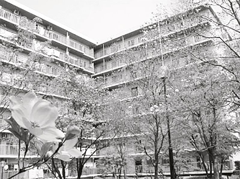 緑いっぱいの公園がそばにある