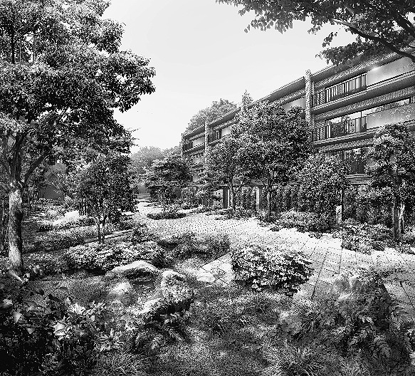 細野透 × 殿木真美子 旬な作品 住宅レビュー (86) 80本の樹木に囲まれた低層マンション 風が抜ける窓、新型トイレ、ハウスステーション… 「オーベル蘆花公園」 大成有楽不動産