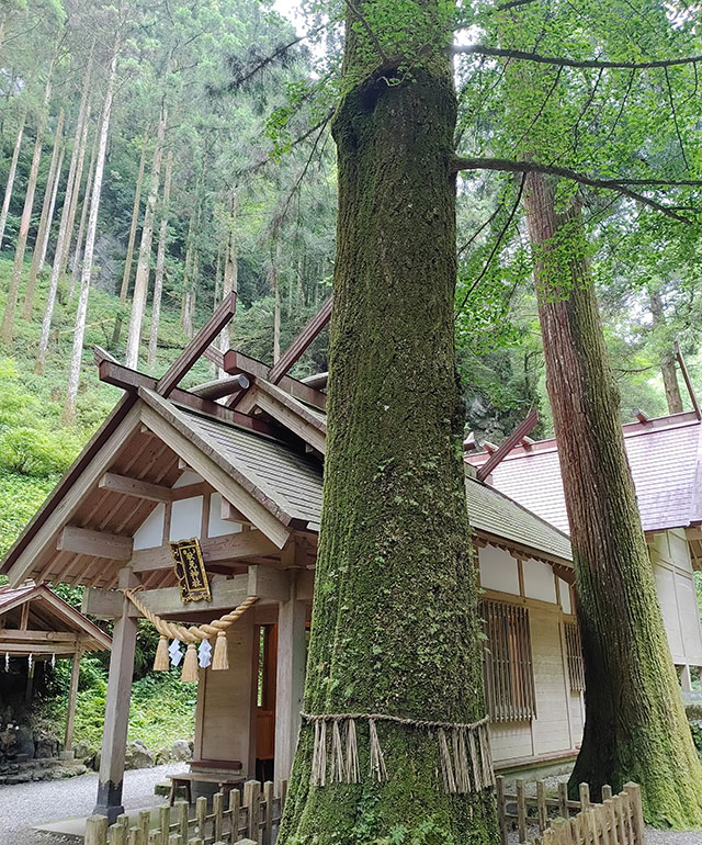 古民家宿の物語 日本全国リノベーション 19 宮崎県高千穂町「民宿まろうど」(下) コロナ禍、もう一つの生業が助けに