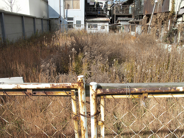 持ち主不明の土地が市場へ!?政府が「所有者不明土地」に関する法律案を国会へ提出