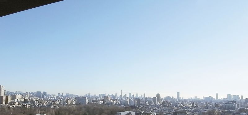 冷え切った寒気の中、澄み渡った青空のように、この1年、住宅・不動産業界に明るい展望は開けるだろうか。新しい法律・制度など対応しなければならないことや、空き家・空き地など山積した課題も解決していかなければならない(撮影=東京・池袋から)