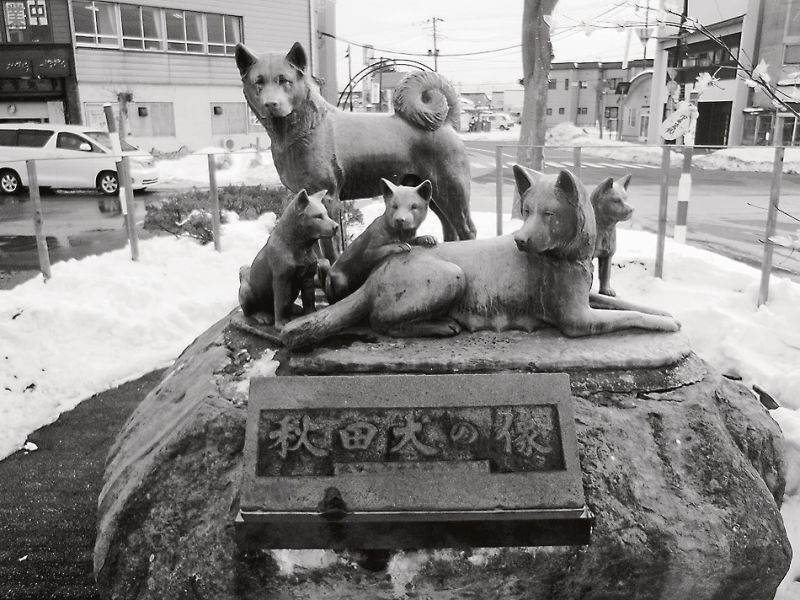 大館駅前にある秋田犬の像