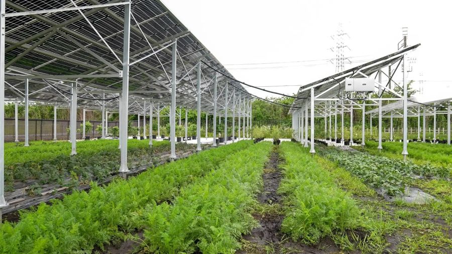 地球沸騰!　大手デベ 環境対策けん引役　117の再エネ発電所を展開　都心に国内最大の木造ビル　存続に黄信号　新春特集