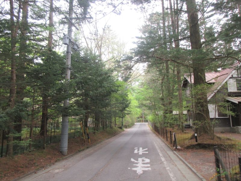 恵まれた自然環境を持つ旧軽井沢の別荘地